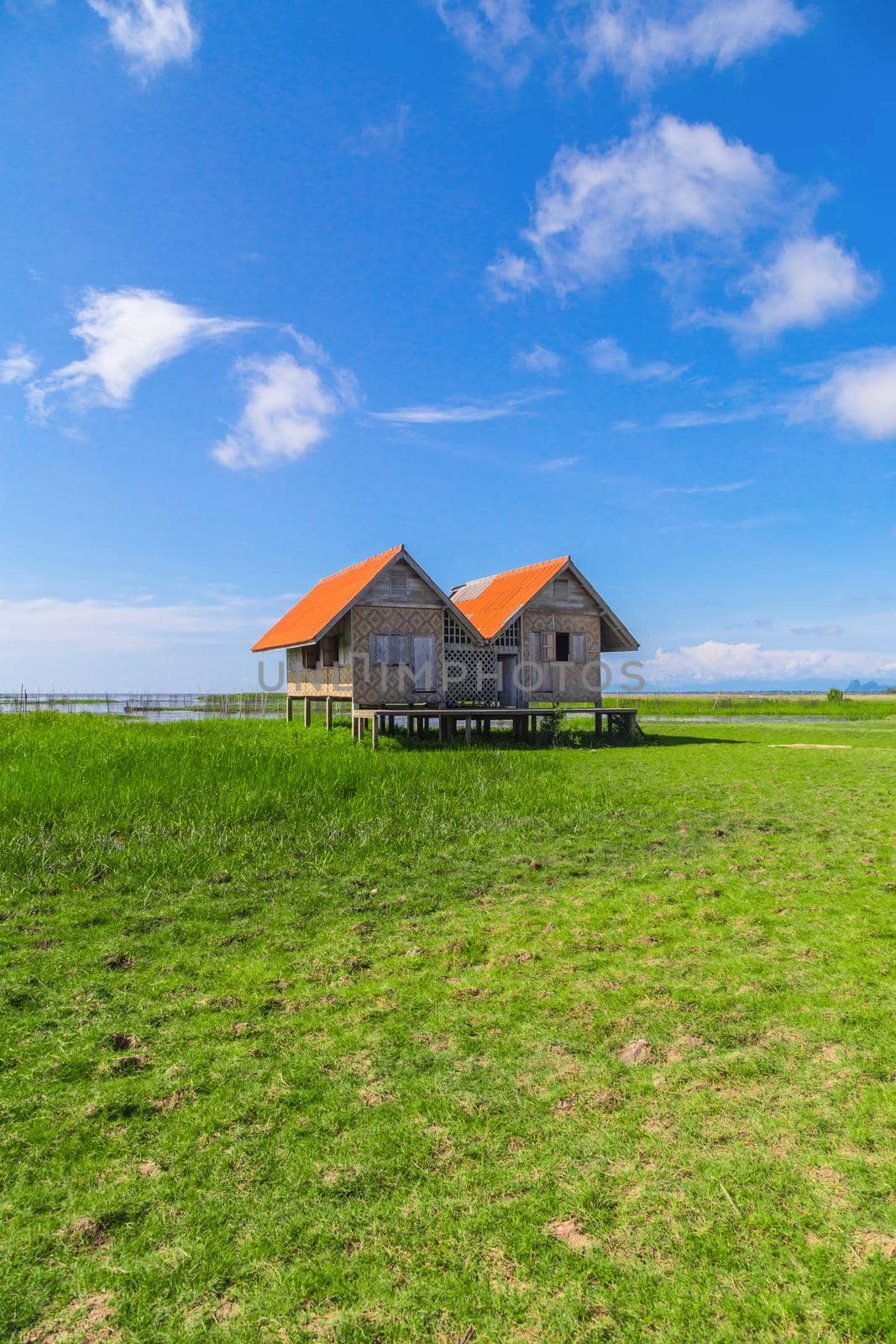 Twin old house on wetland at Talay Noi lake at Phatthalung,southern of Thailand.