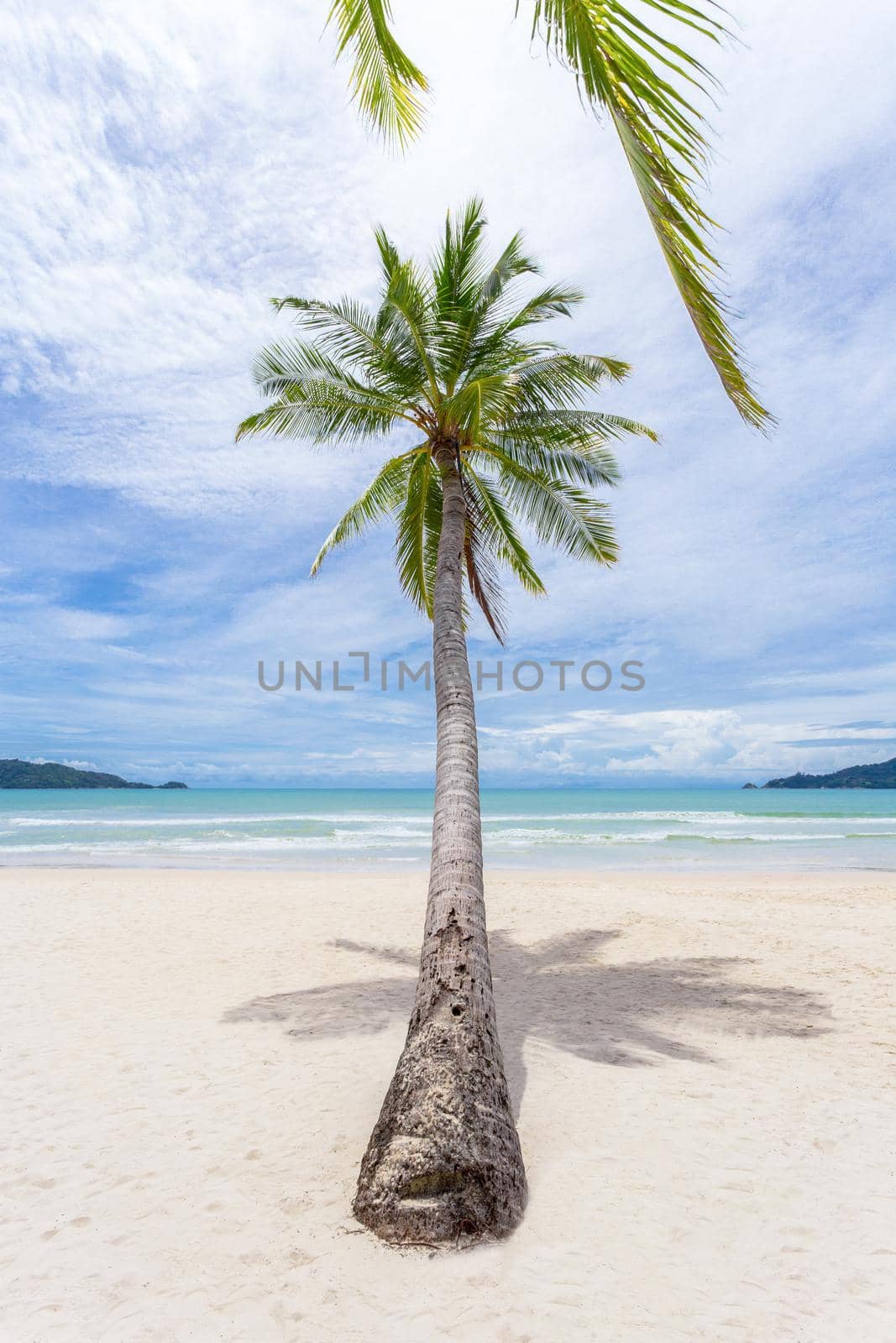Exotic Tropical Paradise Swings over Crystal Clear Turquoise Blue Ocean Sea Water Landscape Seascape