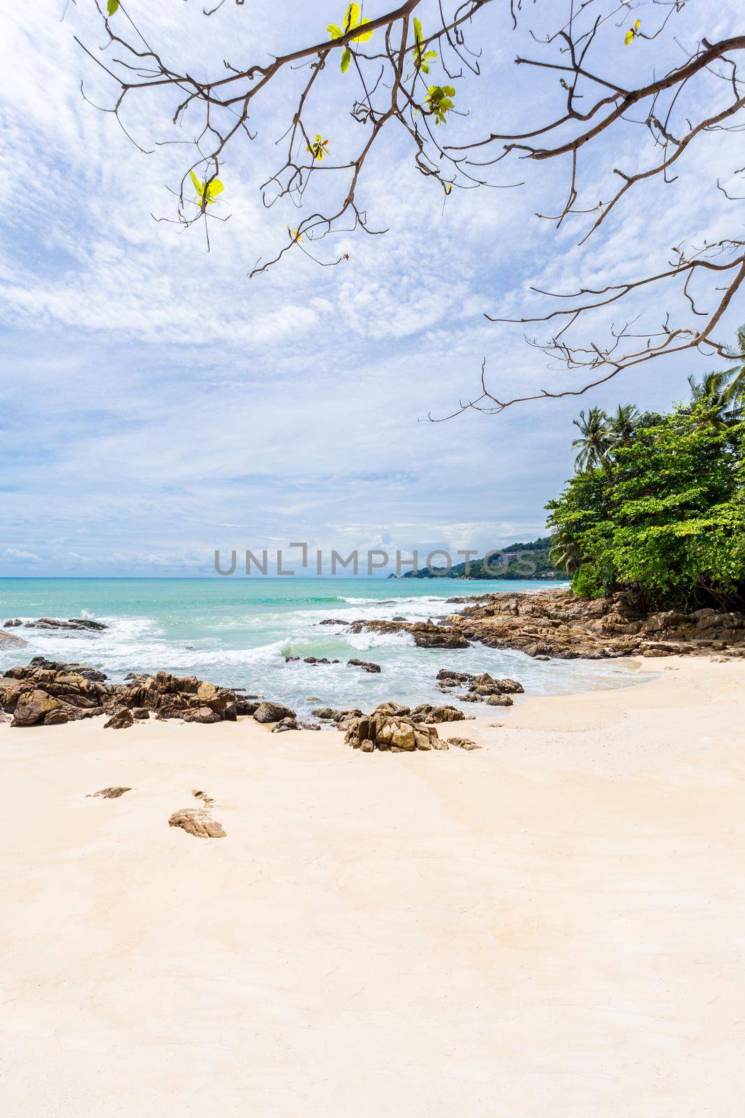 Summer holiday and vacation background concept of beautiful leaves frame trees on tropical beach in summer season