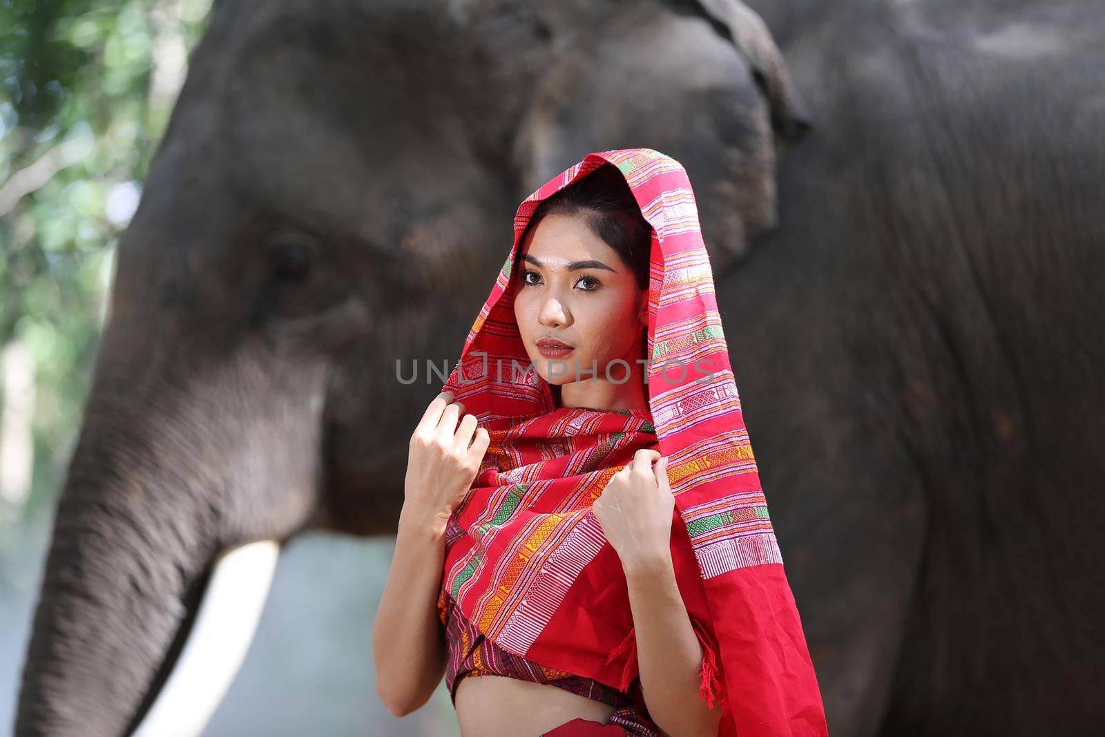 Thailand Countryside; Silhouette elephant on the background of sunset, elephant Thai in Surin Thailand. by chuanchai