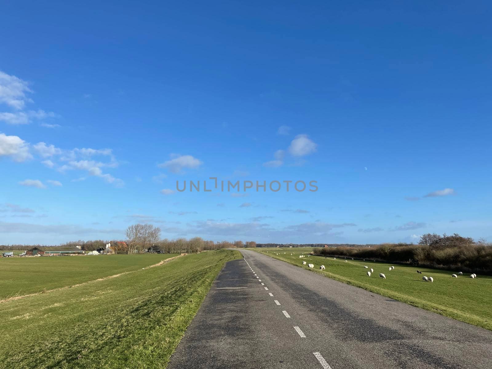 Road on a dyke around Laaksum in Friesland, The Netherlands