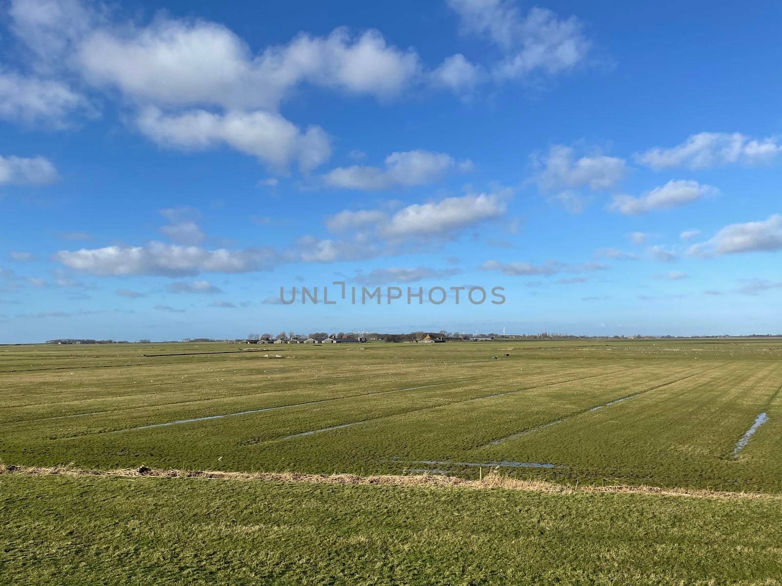 Farmland around Laaksum in Friesland, The Netherlands