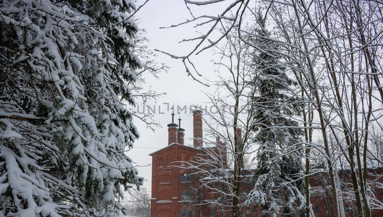 Among the snow-covered fir trees, you can see an old brewery building with towers.