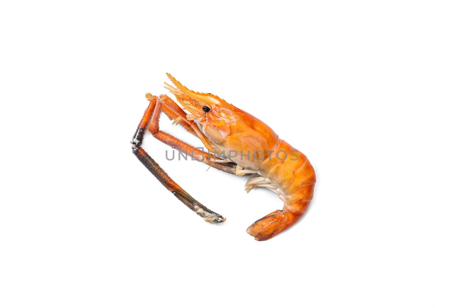 Grilled large river prawn are ready to eat isolated on white background.