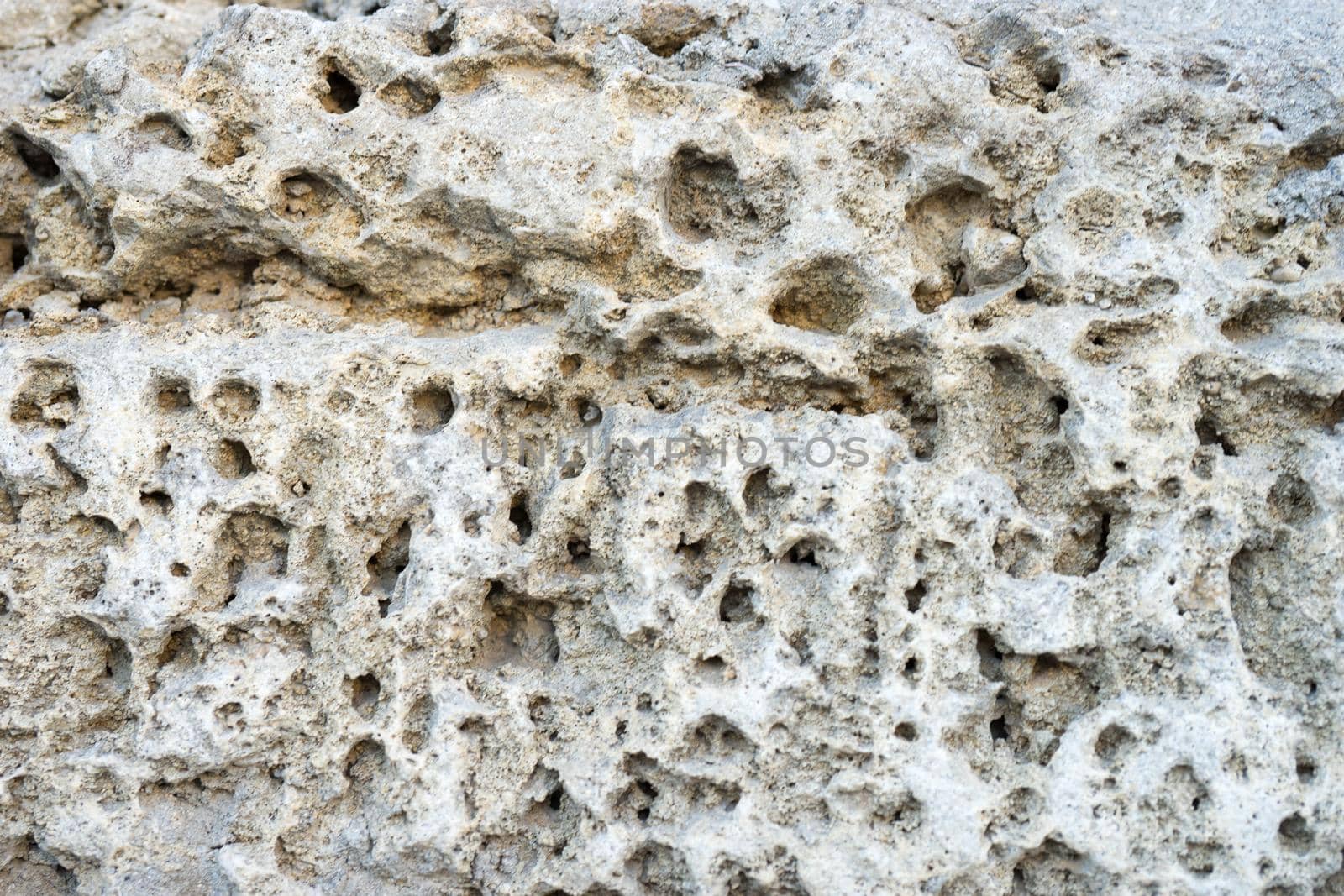 Light background of natural stone-shell rock. For design and networking.