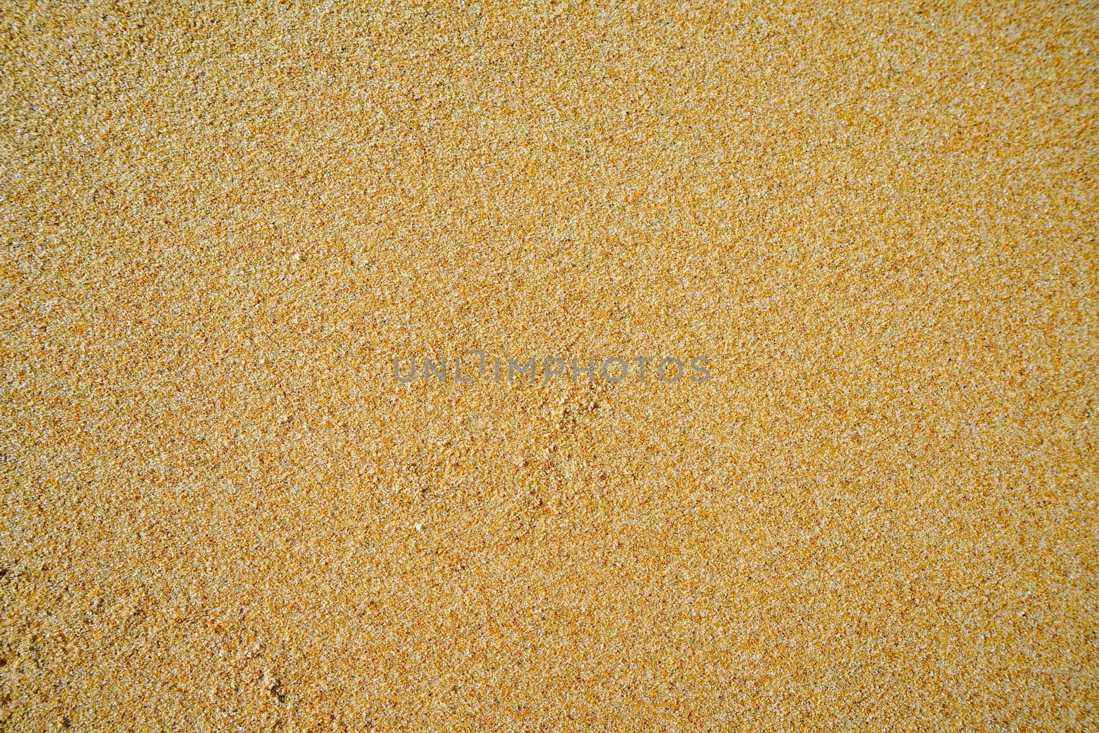 Natural background with yellow sand. design, art, nature