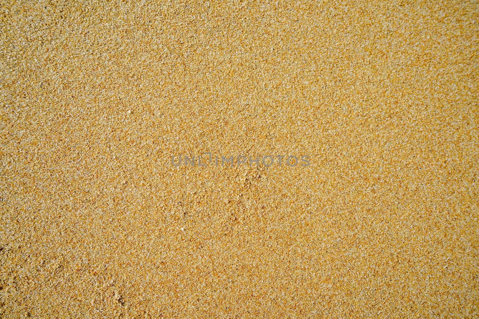 Natural background with yellow sand. design, art, nature