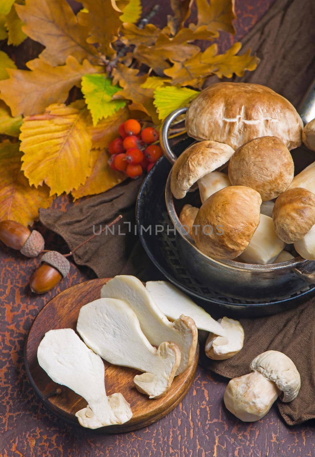 Mushroom Boletus edulis over Wooden Background, close up on wood rustic table. Cooking delicious organic mushroom. Gourmet food by aprilphoto