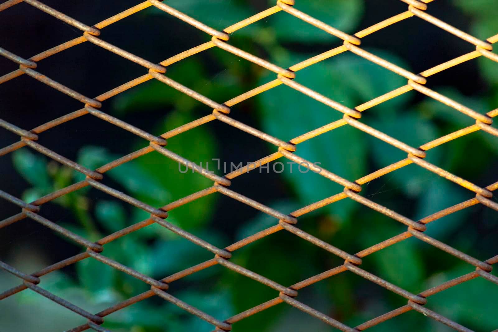 In the evening, the fence is illuminated, the front view