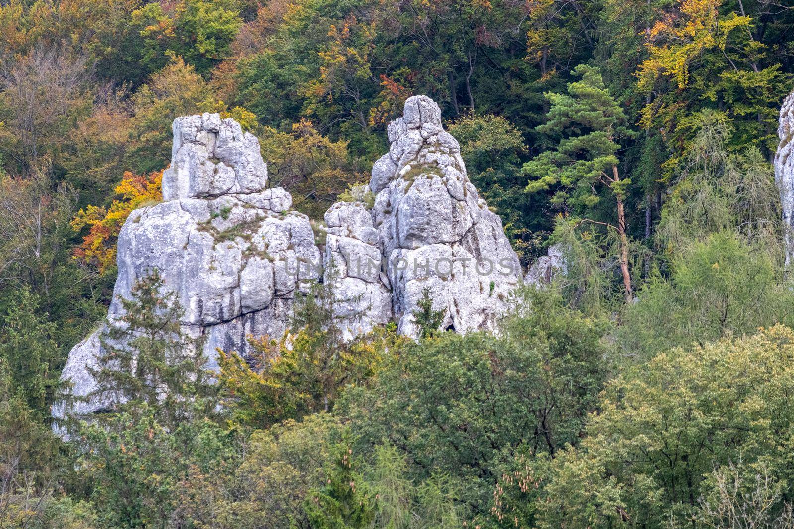 Rock formations called Peter and Paul at Danube breakthrough near Kelheim, Bavaria, Germany