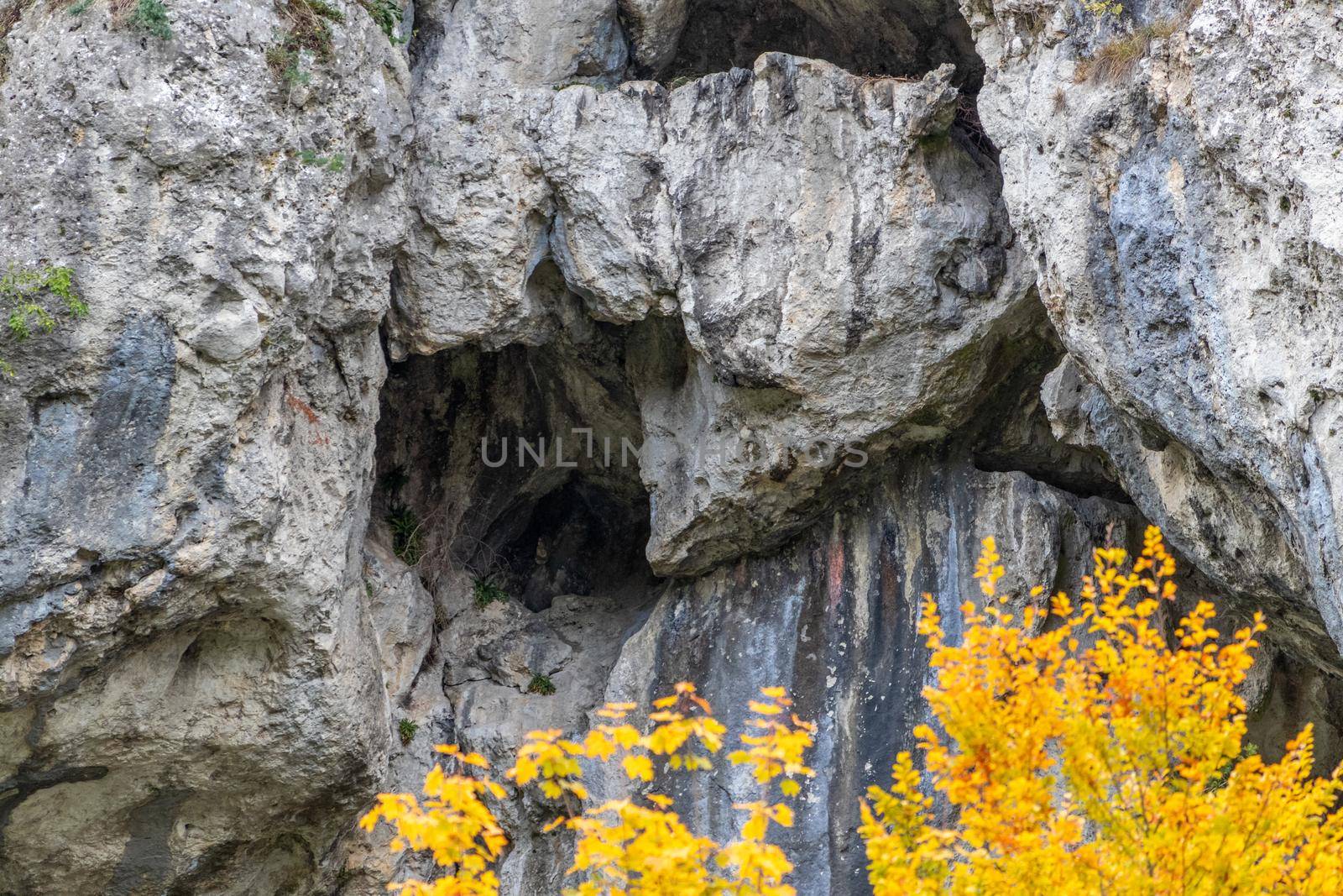 Limestone rock formation at Danube river near Kelheim and tree with yellow leaves in autumn