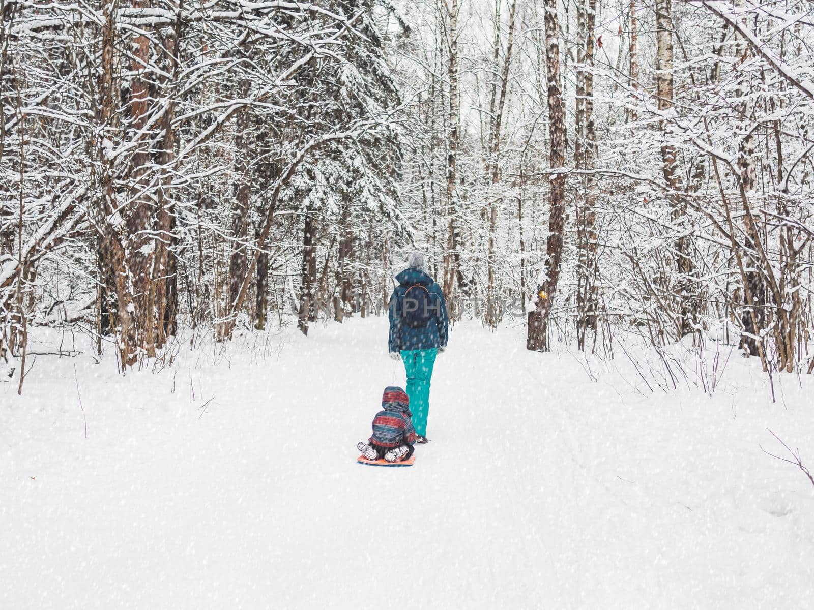Woman carries child on sledge along path in winter forest. Outdoor leisure activity in cold snowy season. by aksenovko