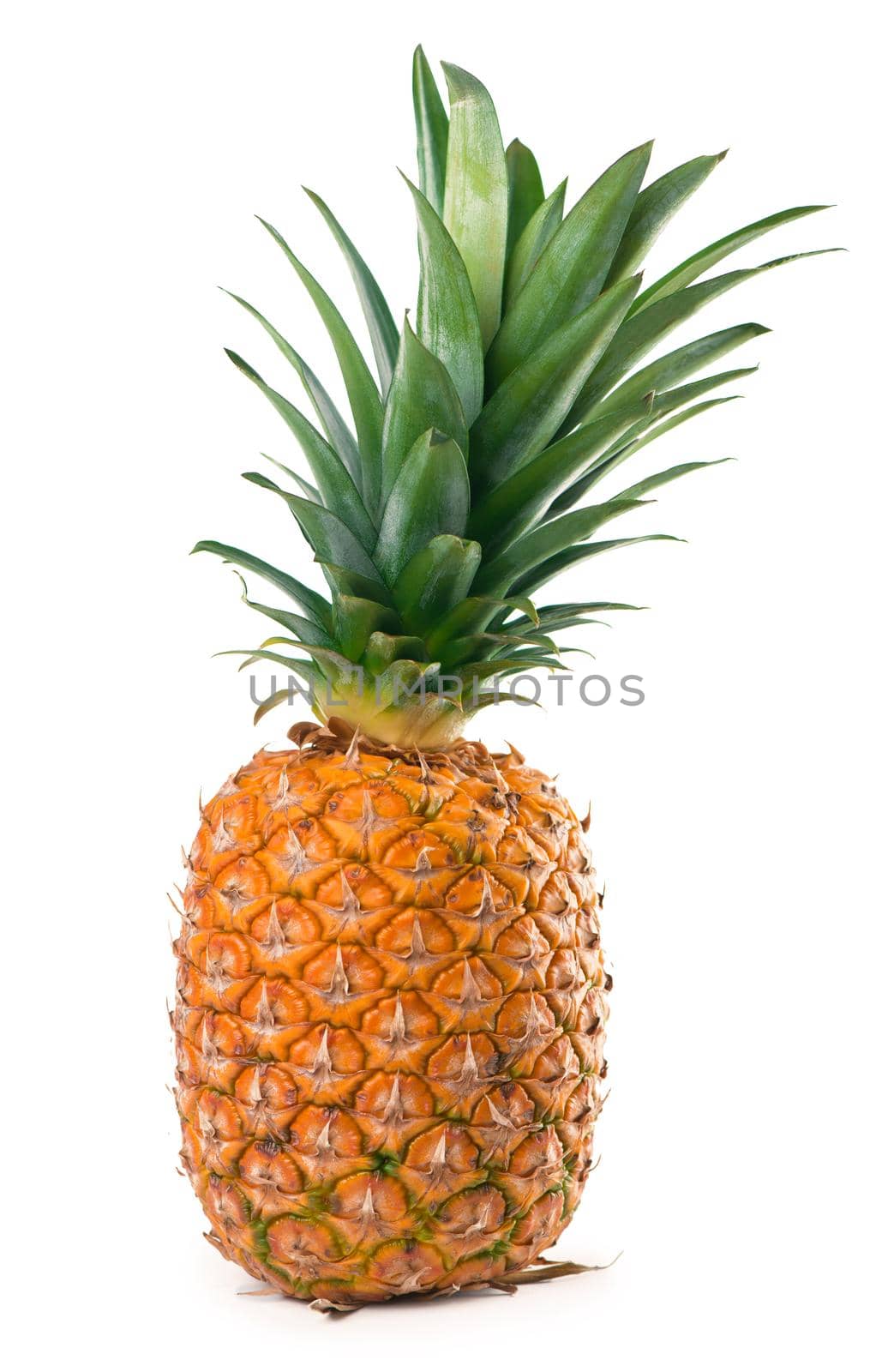 Ripe whole pineapple isolated on the white by aprilphoto