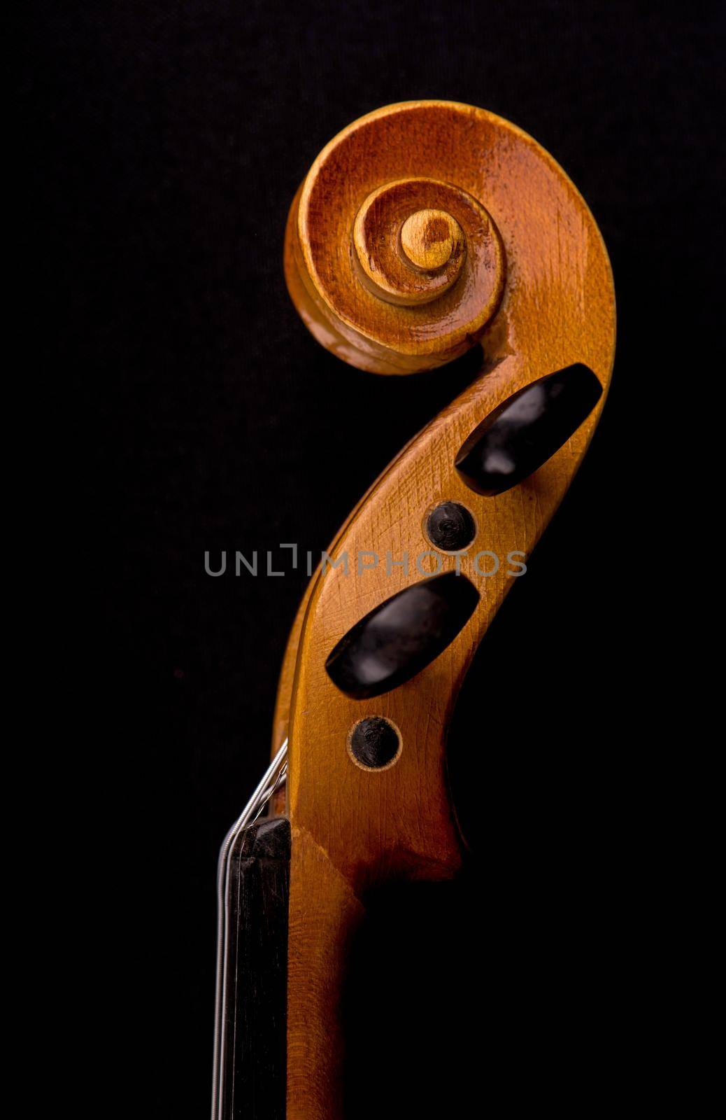 Violin music instrument closeup isolated on black by aprilphoto