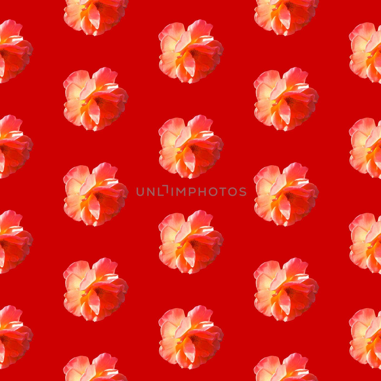 Seamless pattern with roses on a red background in hard light from behind from above. Pop art creative design for textile, fashion, fabric, wrapping paper.