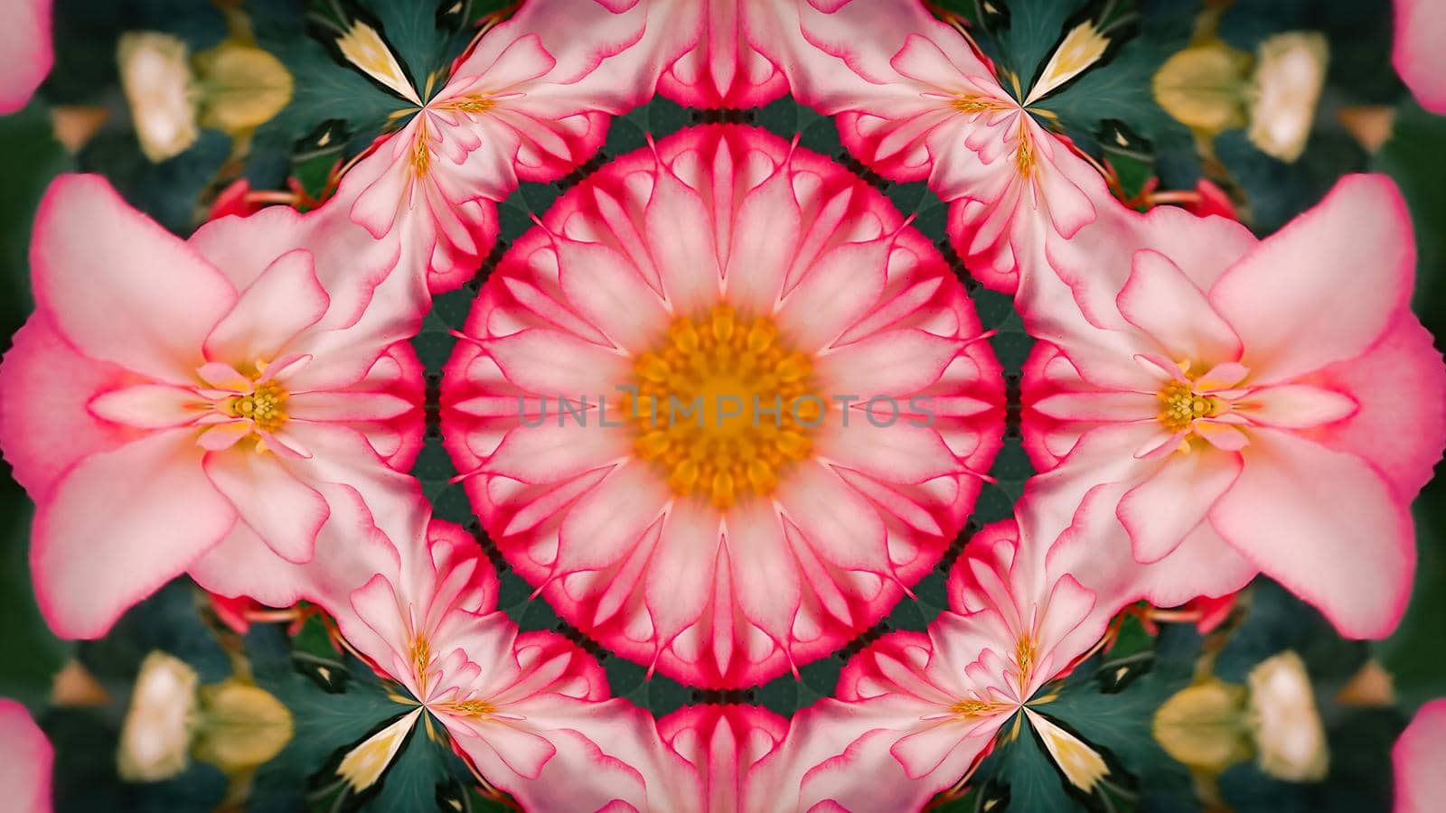 Abstract pastel background with pink flowers. For the design