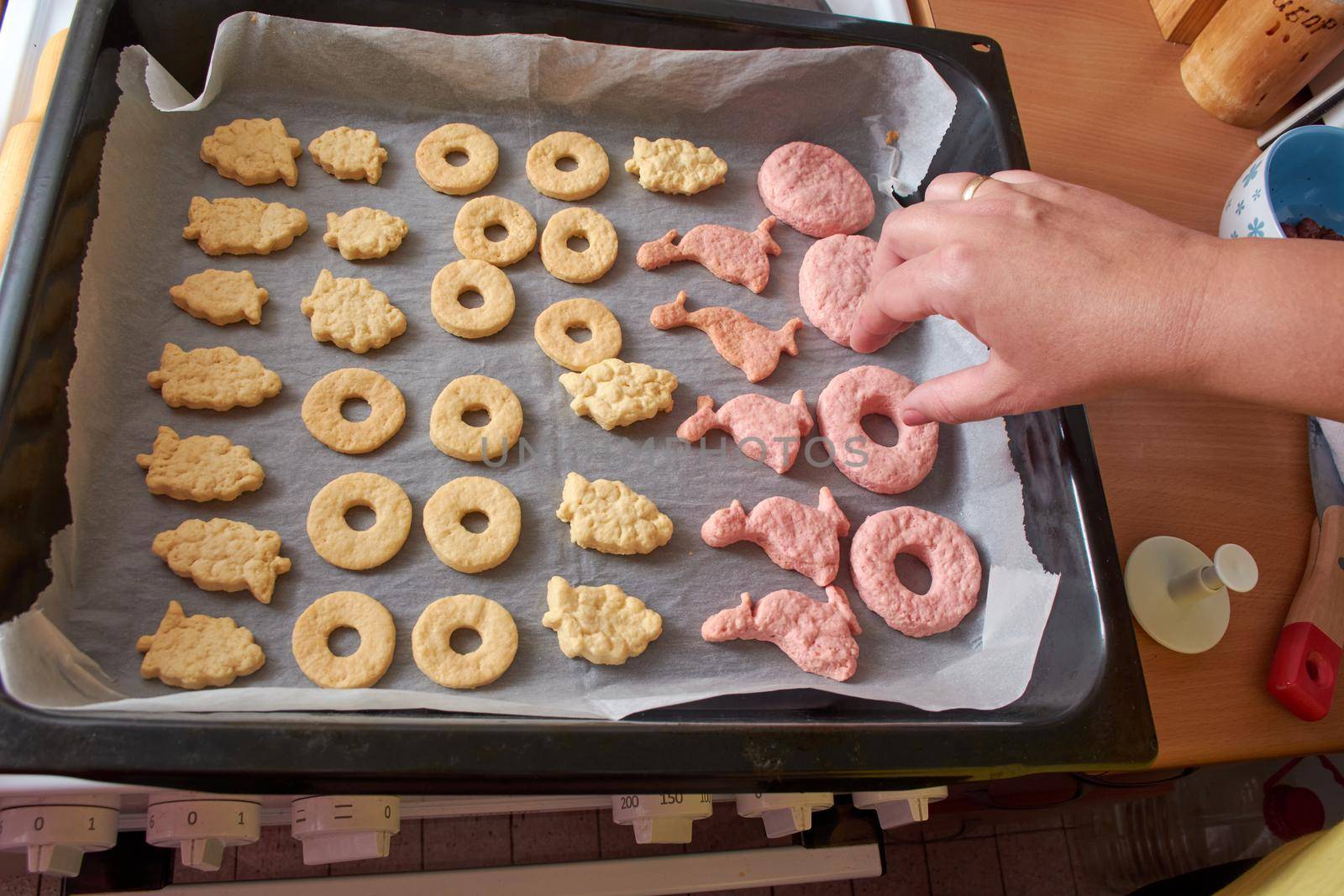 Cutting cookies from the dough and preparing for bake in the electrical stowe