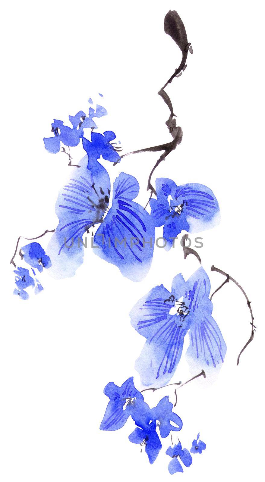 Watercolor and ink illustration of blossom tree branch with blue flowers. Oriental traditional painting in style sumi-e, u-sin and gohua. Background design for greeting card, invitation or cover.