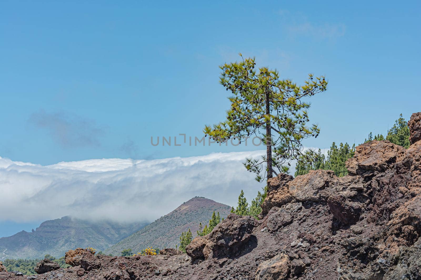 Mountain landscape. View of the clouds from the top of the mountain by Grommik