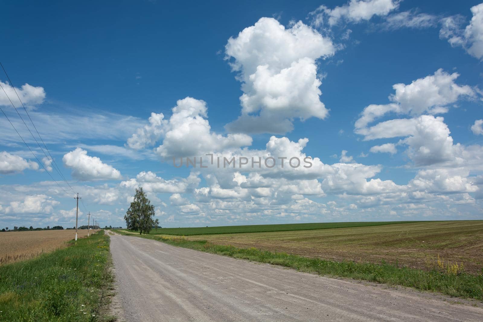 Landscape. Country road among endless fields Stock photo.