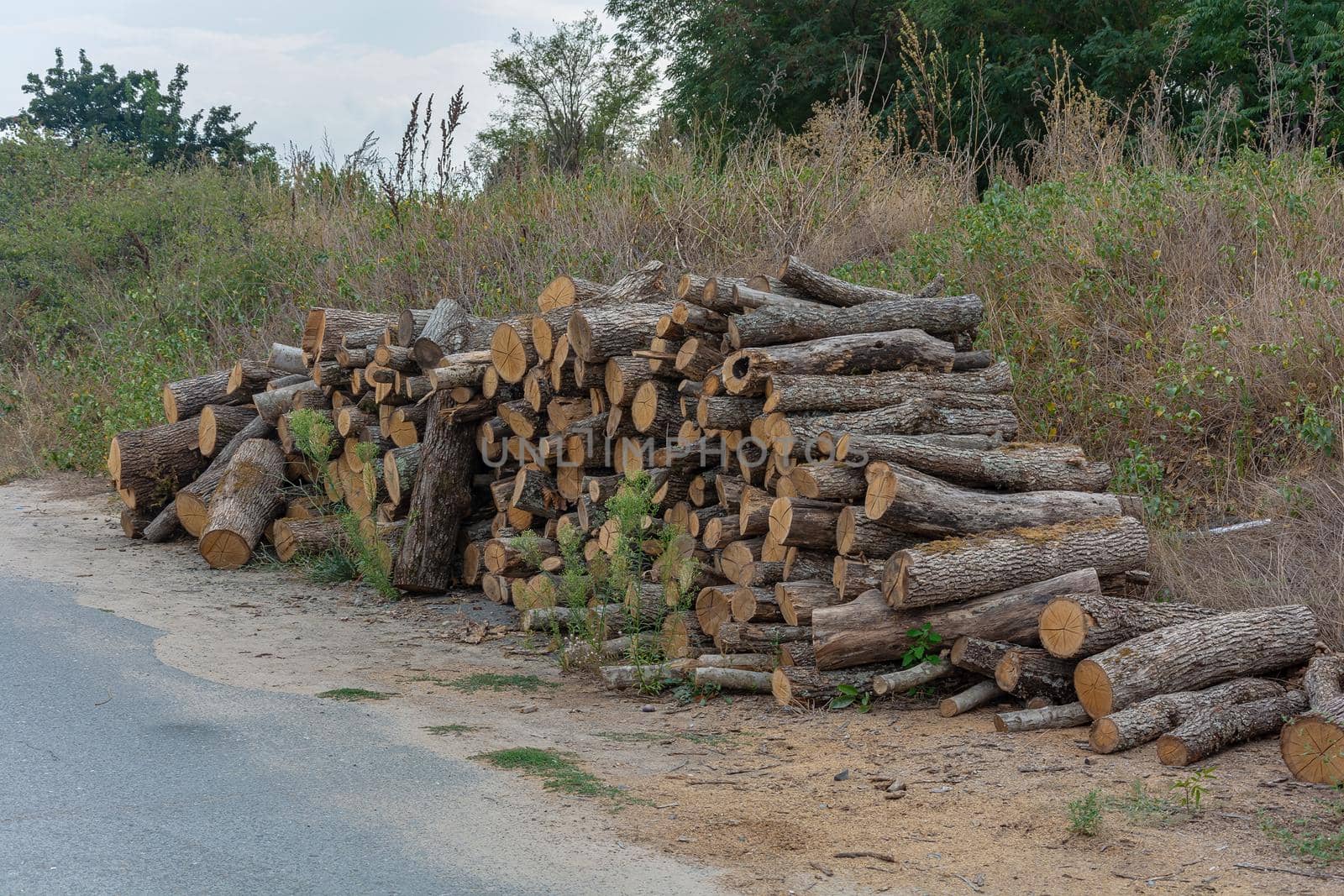 A woodpile is stacked near the road. Stock photo.