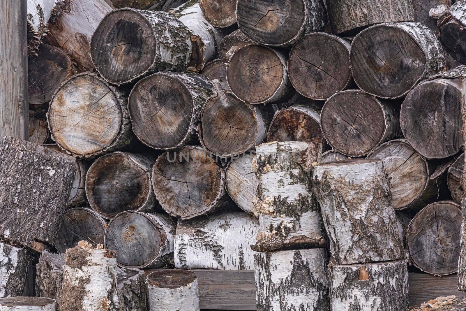 Birch logs are stacked on top of each other. Stock photo