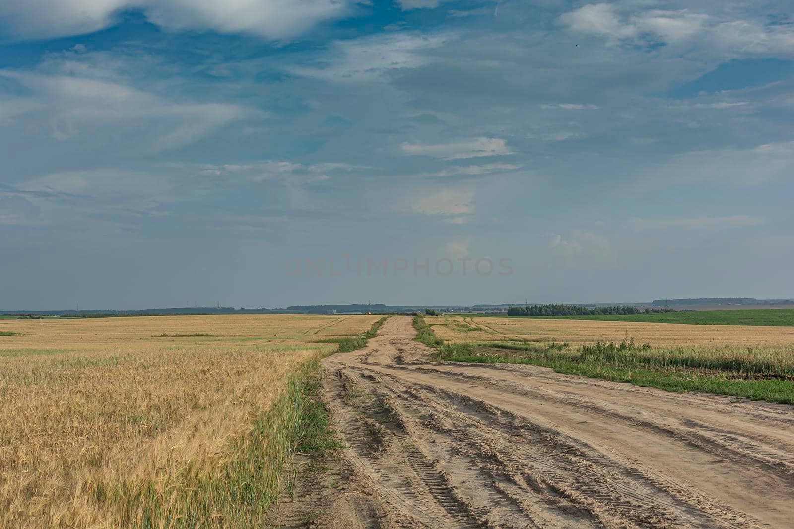 Landscape. The dirt road in the field disappears over the horizon. Stock photo.