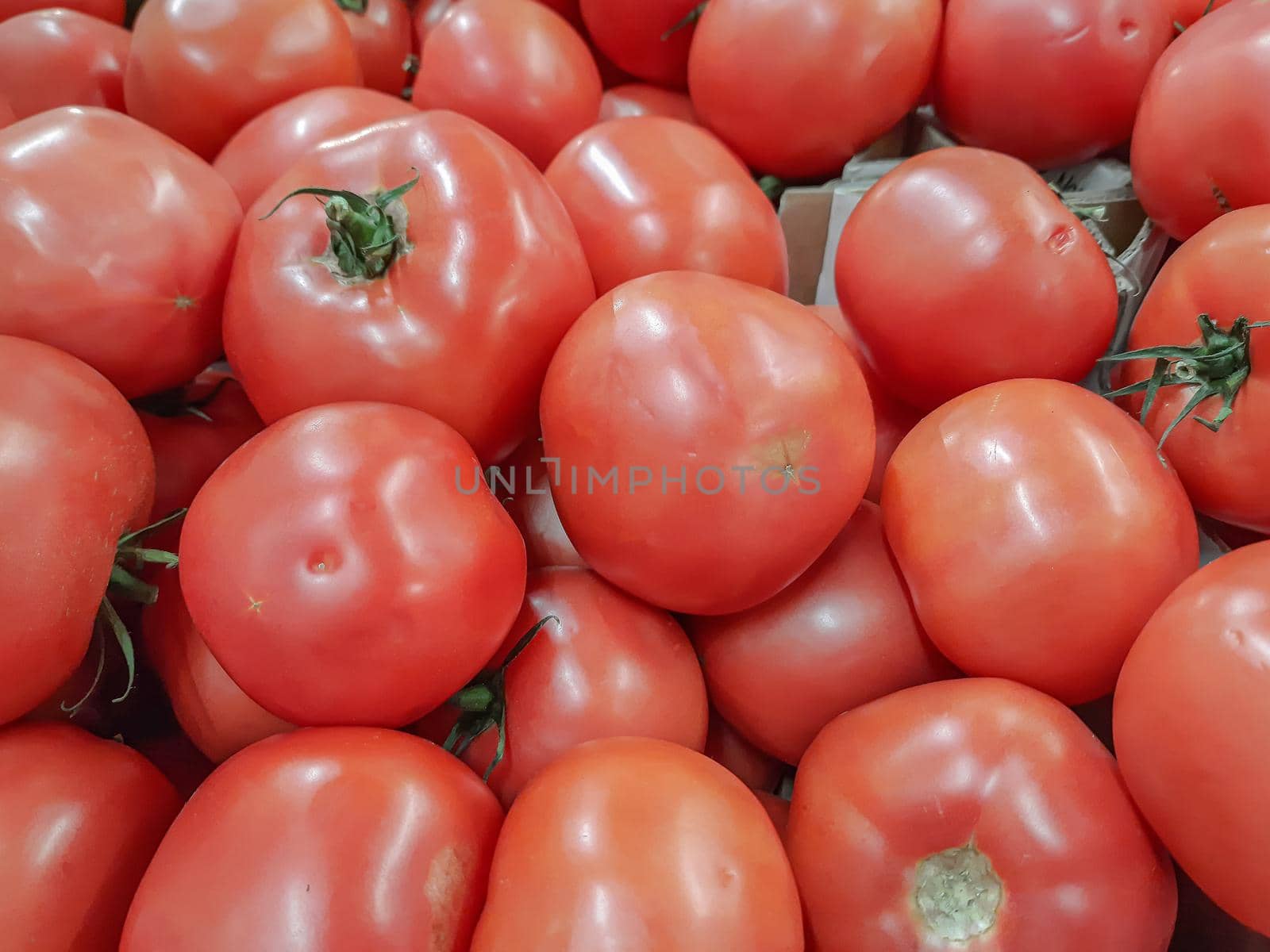 The harvest of tomatoes. Close-up background image. Stock photo