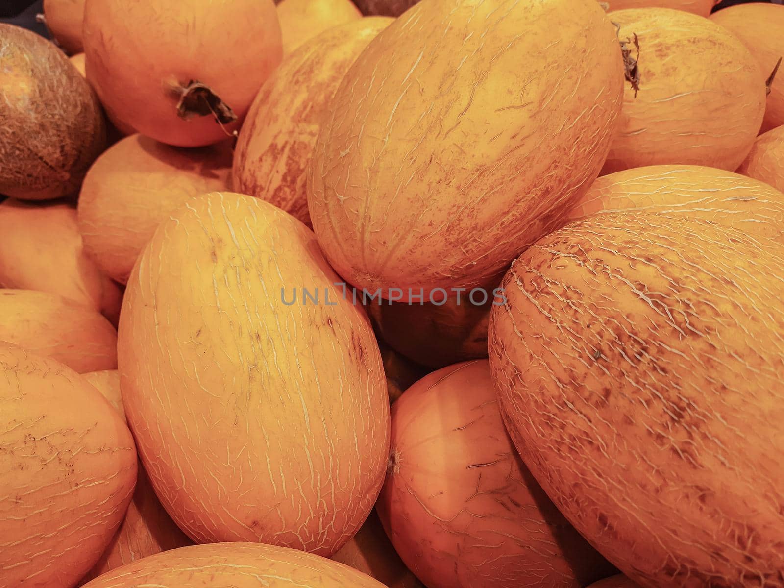 Harvest of ripe melon. Close-up background image. Stock photo