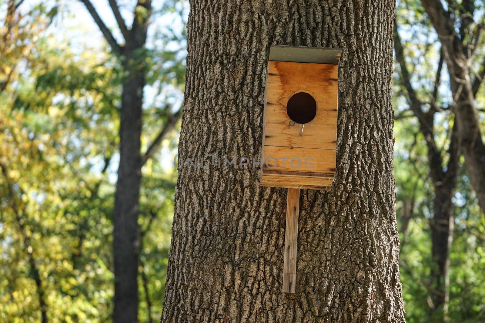 A birdhouse made of plywood on a thick tree trunk and natural background in Sunny day.