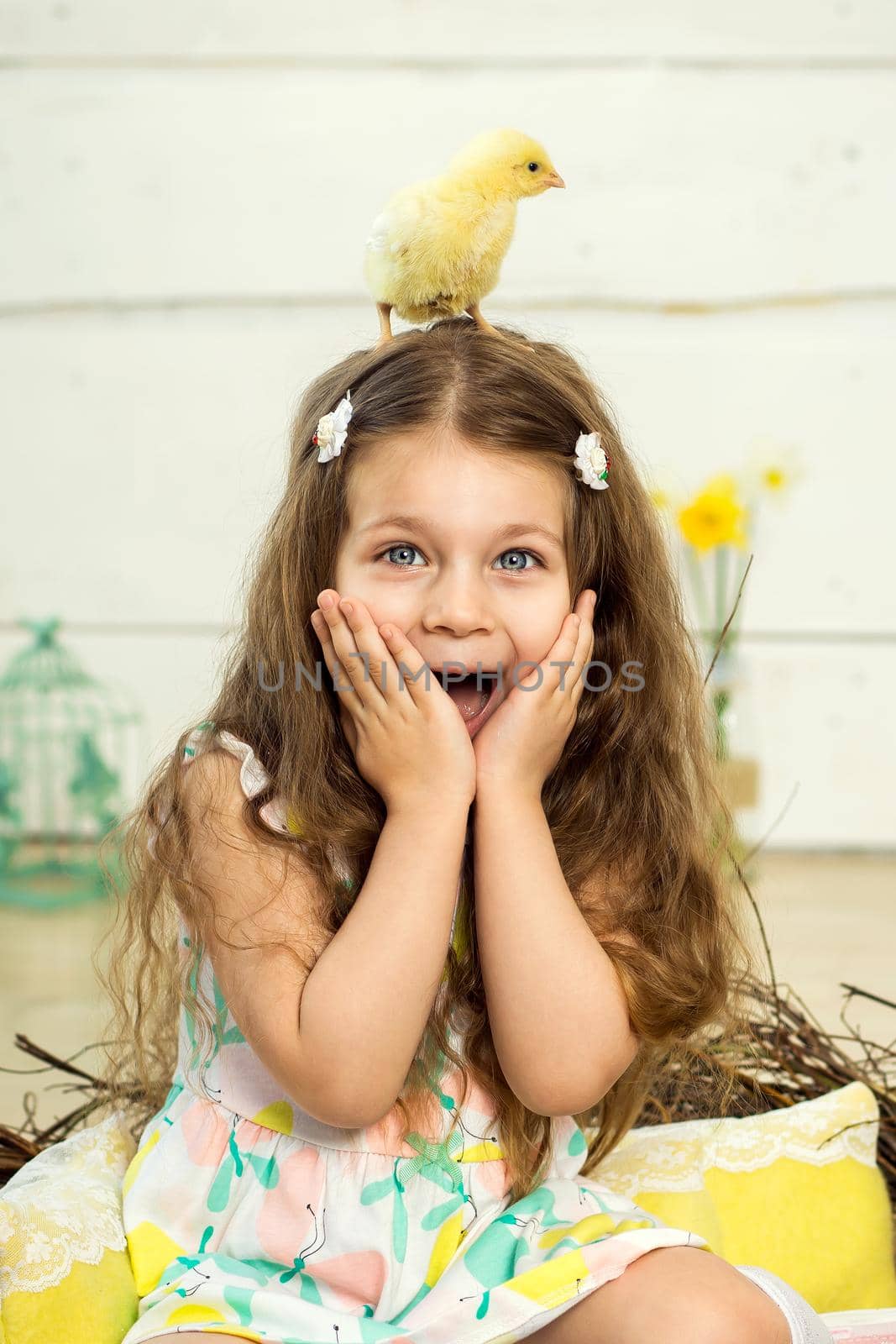 A scared little girl has a cute fluffy Easter chicken on her head.
