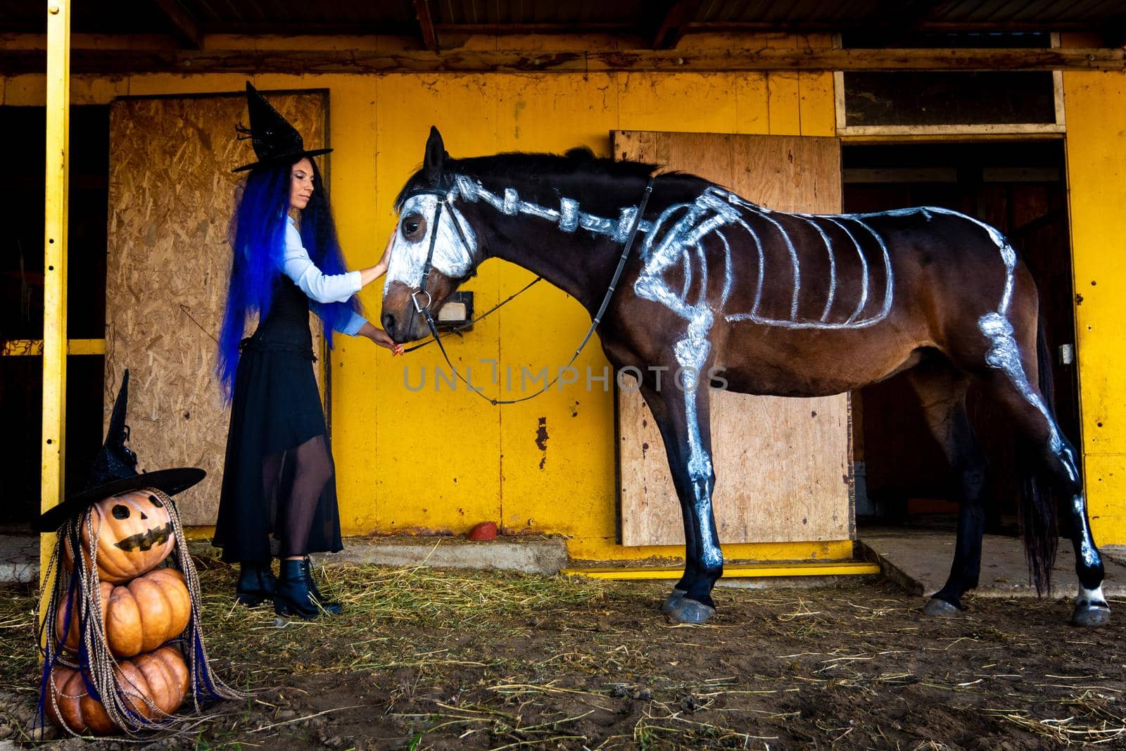 A girl dressed as a witch took a horse out of a corral with a skeleton painted in white paint