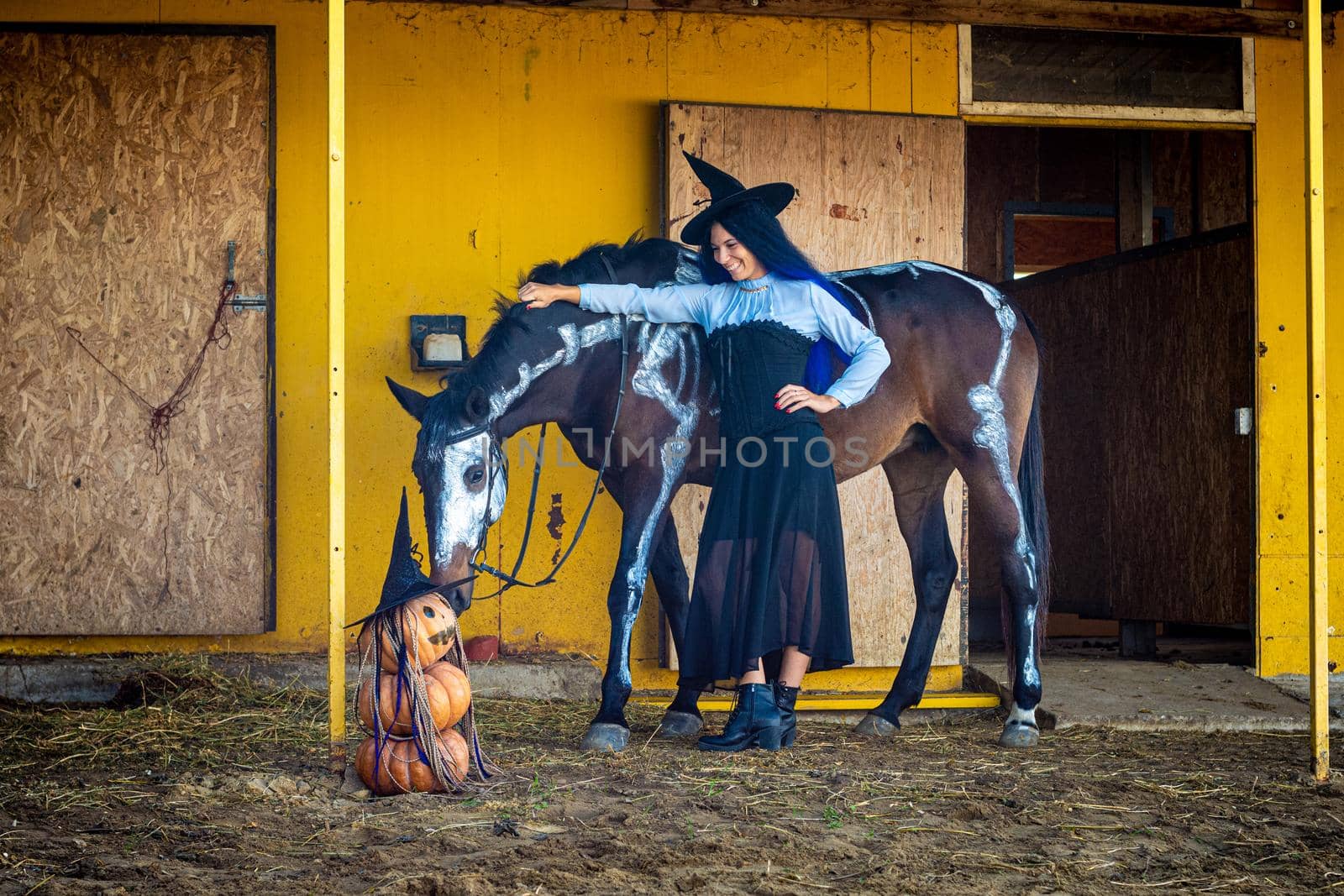 A horse is sniffing an impromptu figurine of pumpkins, a girl dressed as a witch is standing nearby and smiling