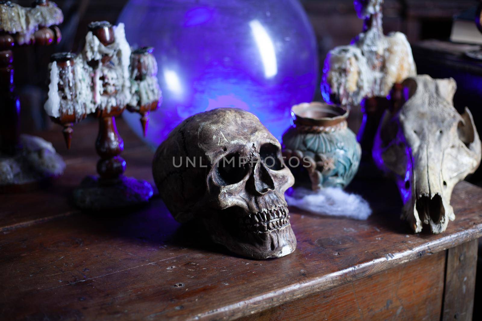 Halloween background Shelves with alchemy tools Skull spiderweb bottle with poison candles Witcher workspace Scarry room