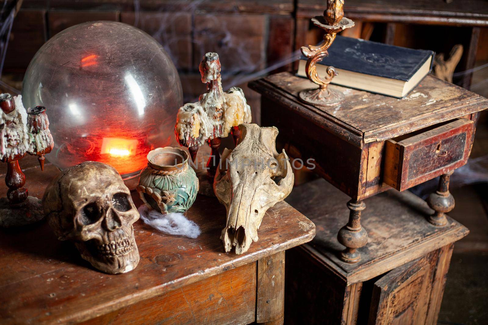 Halloween background Shelves with alchemy tools Skull spiderweb bottle with poison candles Witcher workspace Scarry room