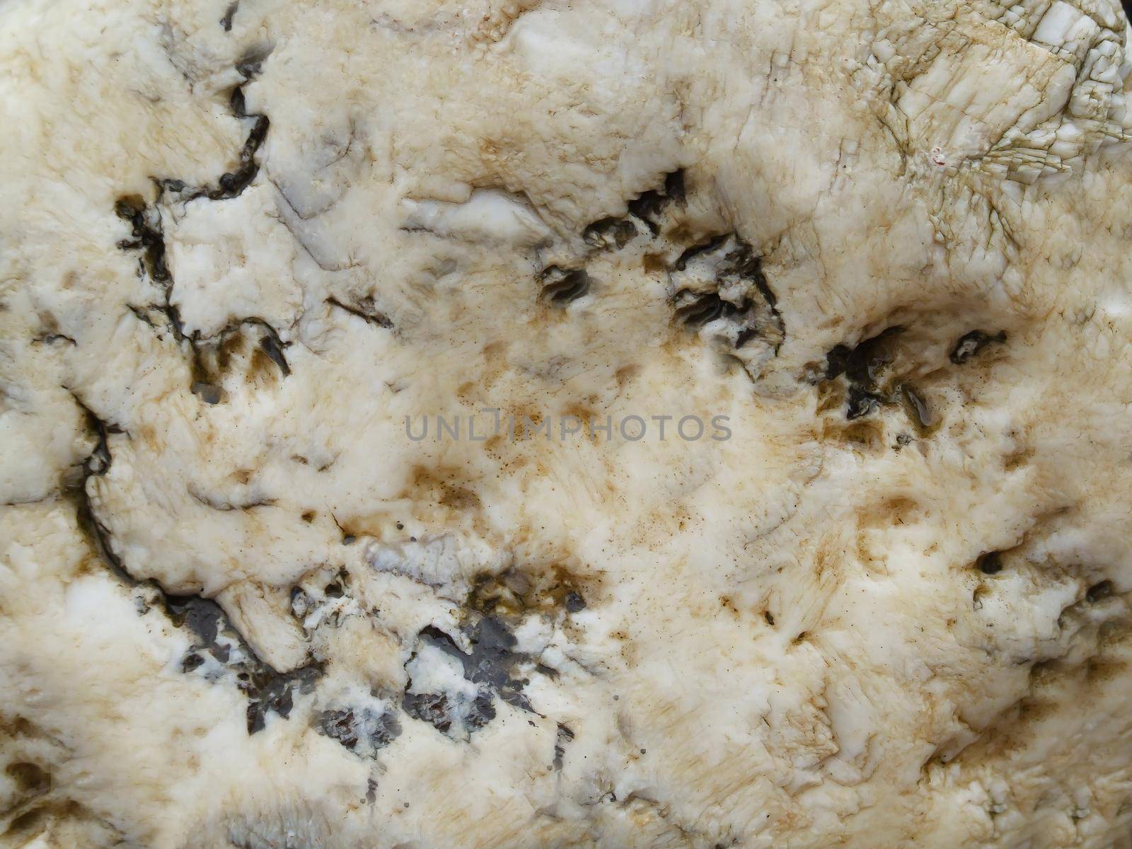 Outdoor rough textured stone with indentations on the surface.Texture or background