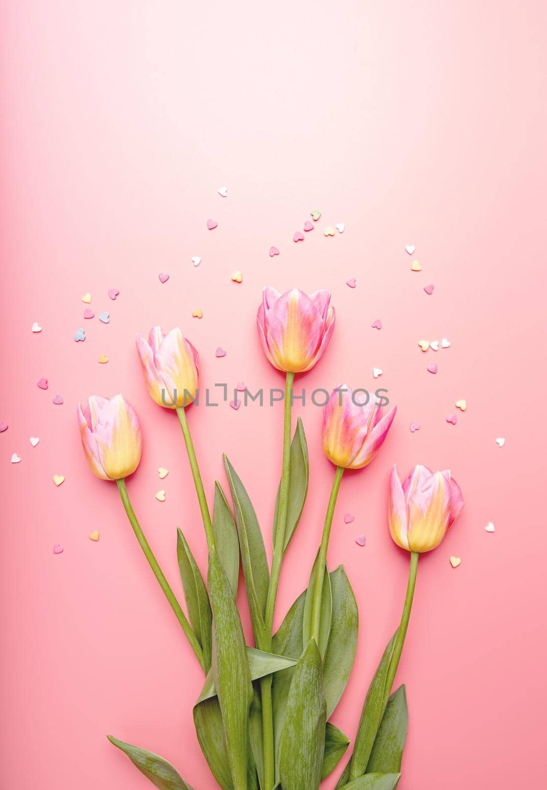 Pink and yellow tulips decorated with small heart shapes on pink background flat lay top view with copy space by Desperada