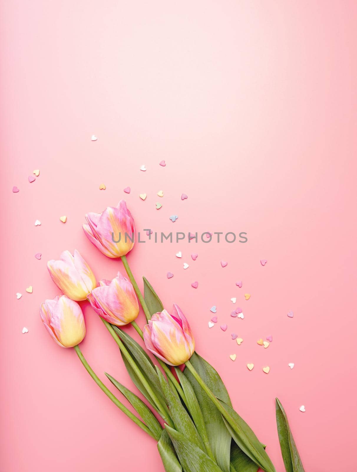 Pink and yellow tulips decorated with small heart shapes on pink background flat lay top view with copy space by Desperada