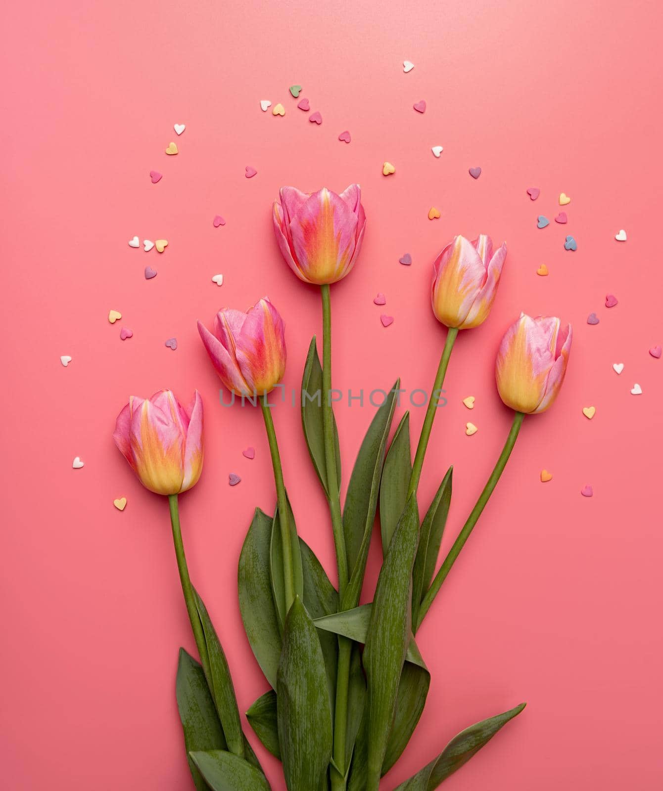 Pink and yellow tulips decorated with small heart shapes on pink background flat lay top view with copy space by Desperada