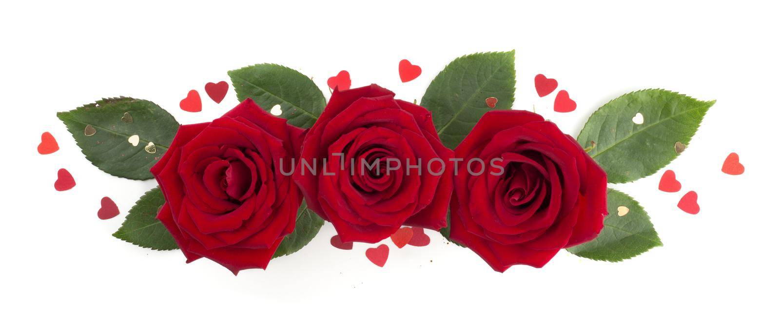 Red rose flowers and hearts on white by destillat