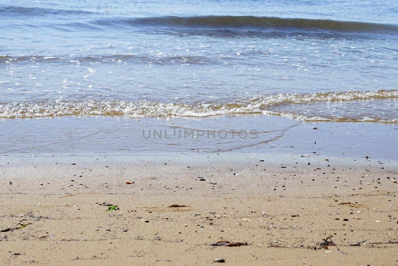 Sea summer vacation background.Seashells on sand.