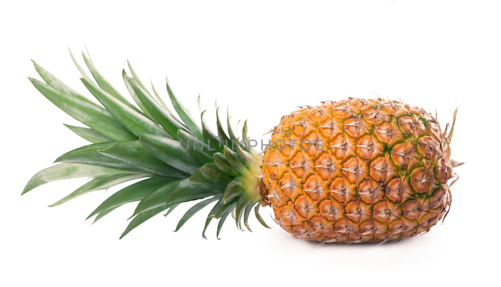 Ripe whole pineapple isolated on white.