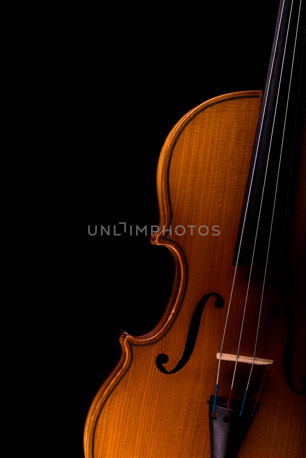 Violin music instrument closeup isolated on black by aprilphoto