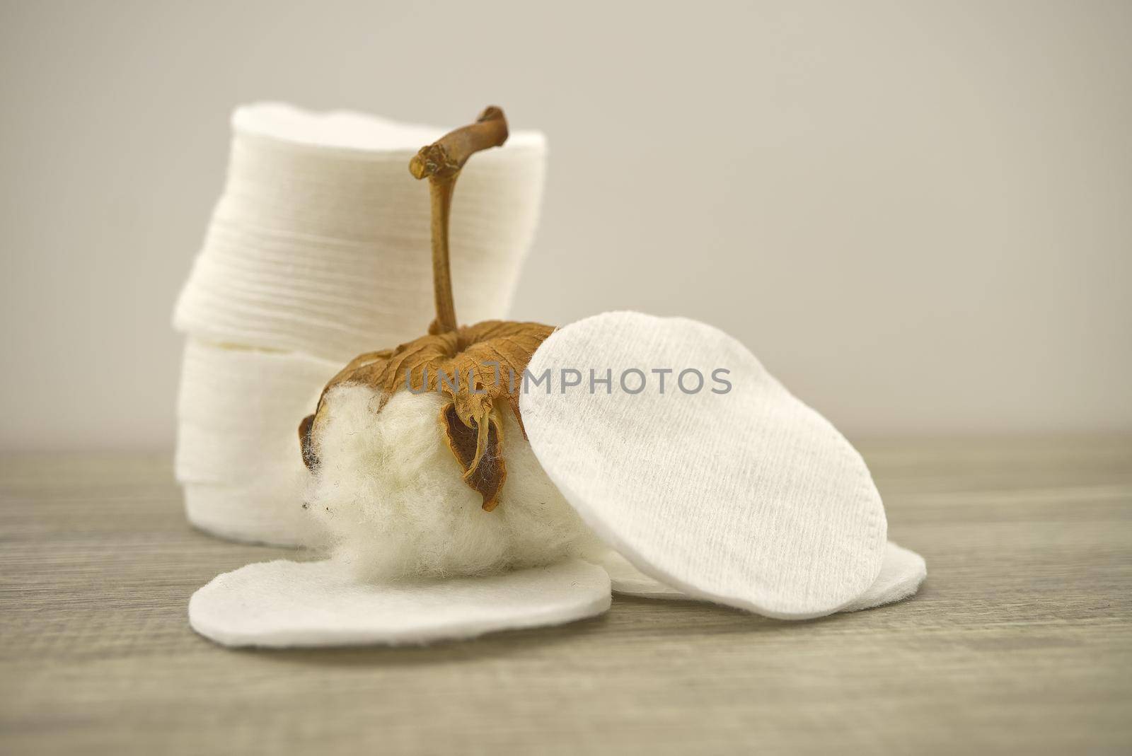 Stack of round embossed cotton pads and natural cotton stem boll. Organic cotton products