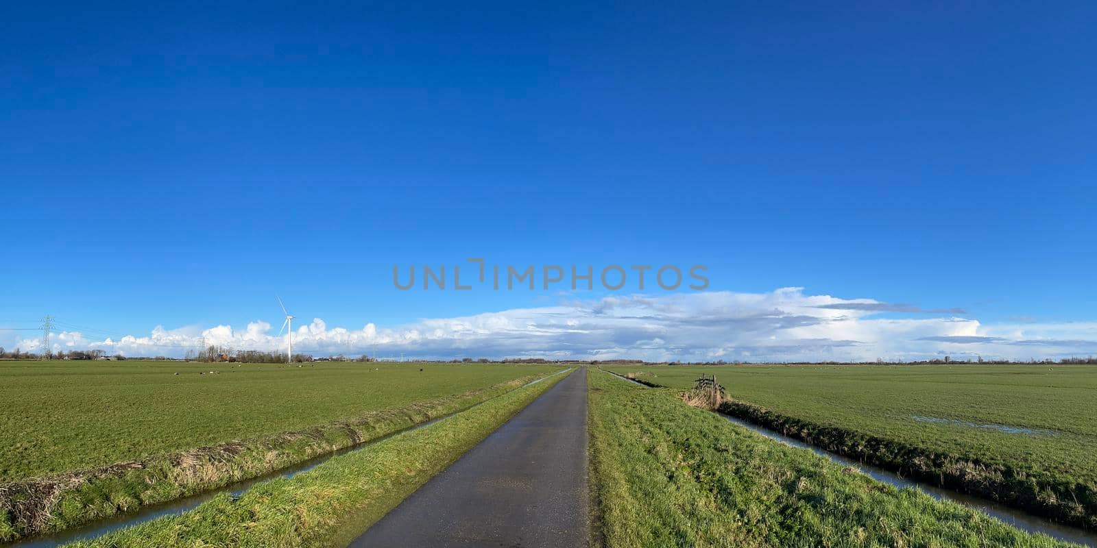 Road through farmland on a winter day around Akkrum in Friesland The Netherlands