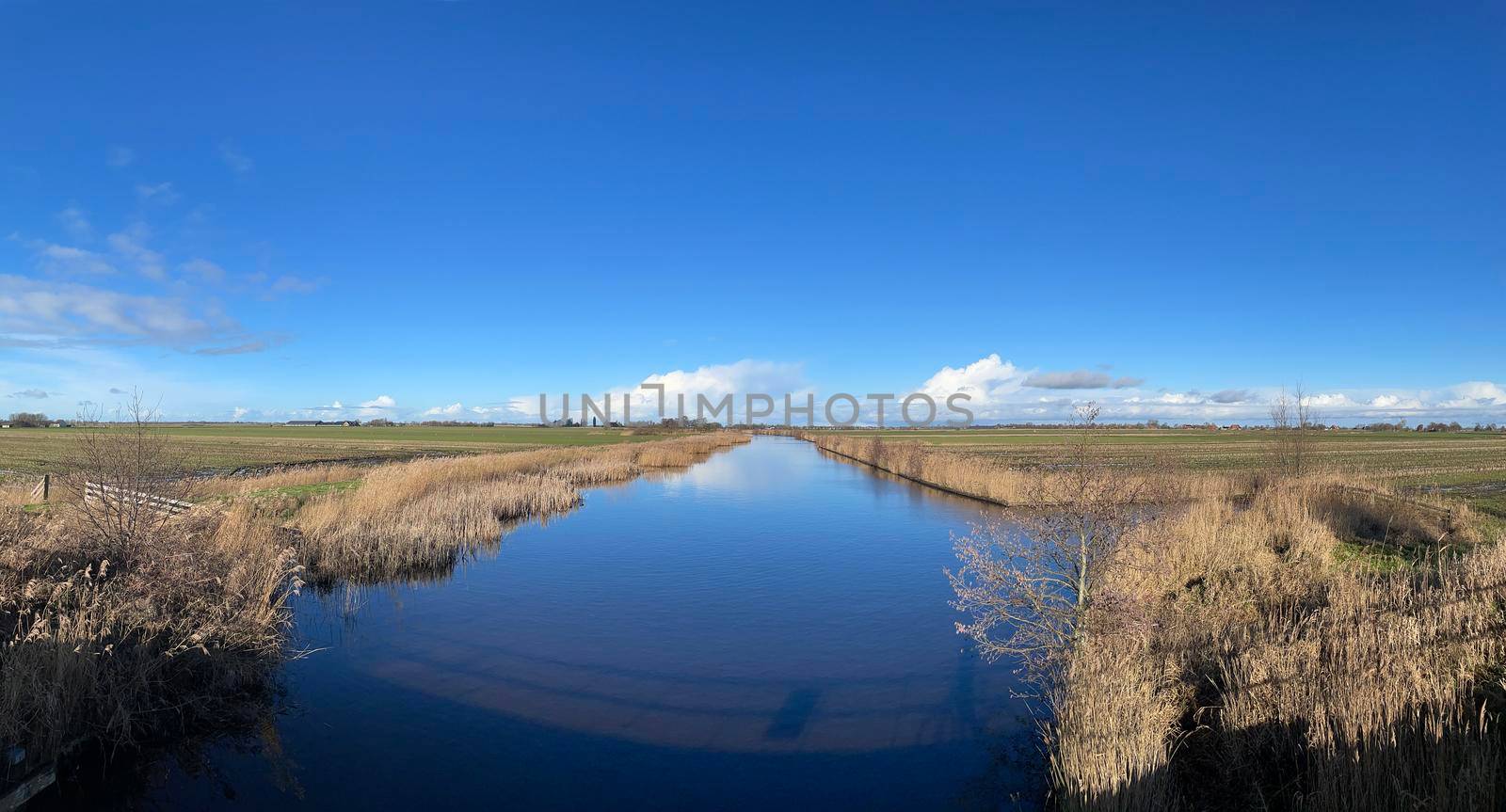 Panorama from a canal on a winter day around Broek in Friesland The Netherlands