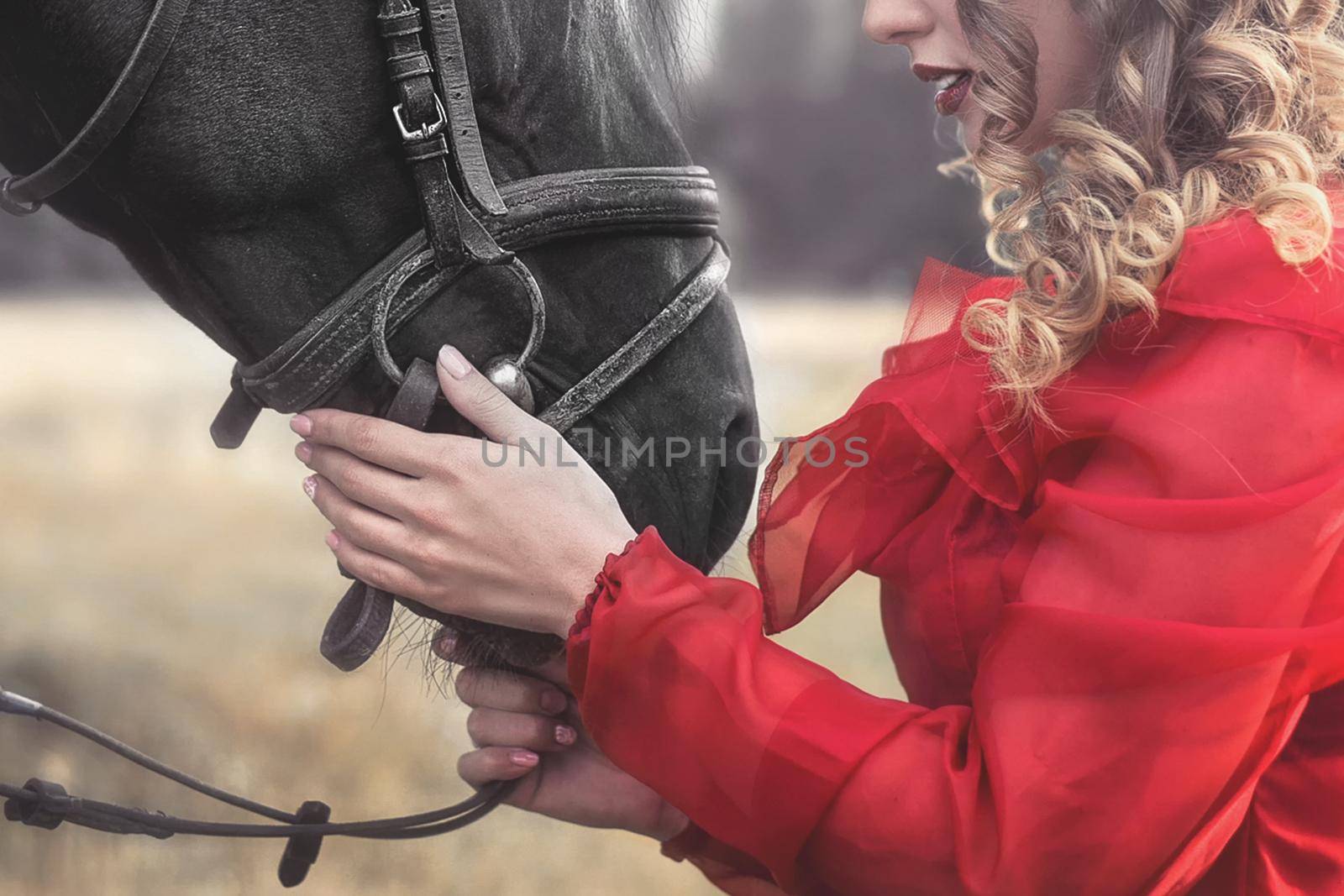 Artistic photo. young Woman with no face dressed in an elegant vintage dress, gently cuddling a horse, stroking his head. love for animals by Nickstock