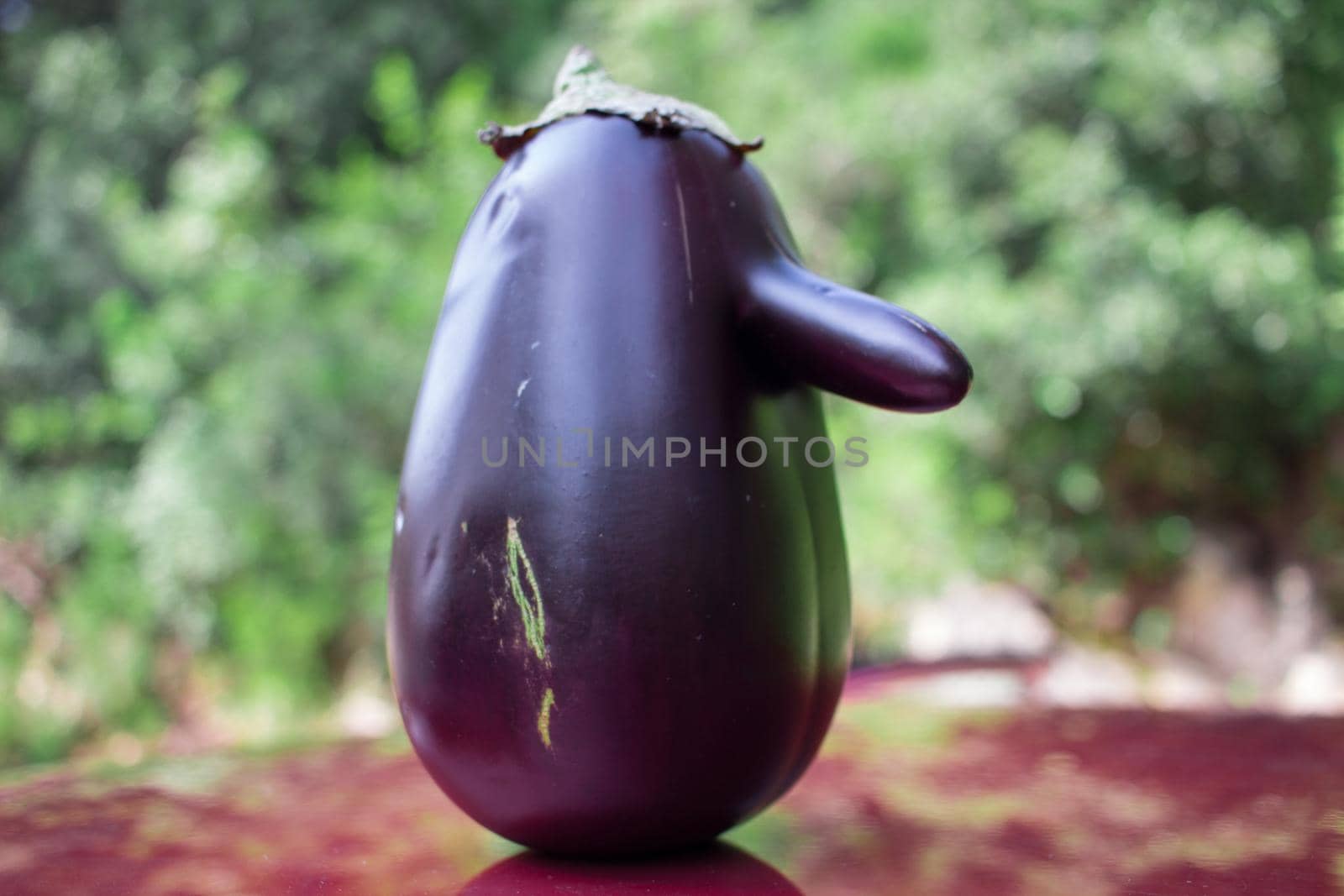Funny purple fresh natural organic vegetable eggplant with long nose on green