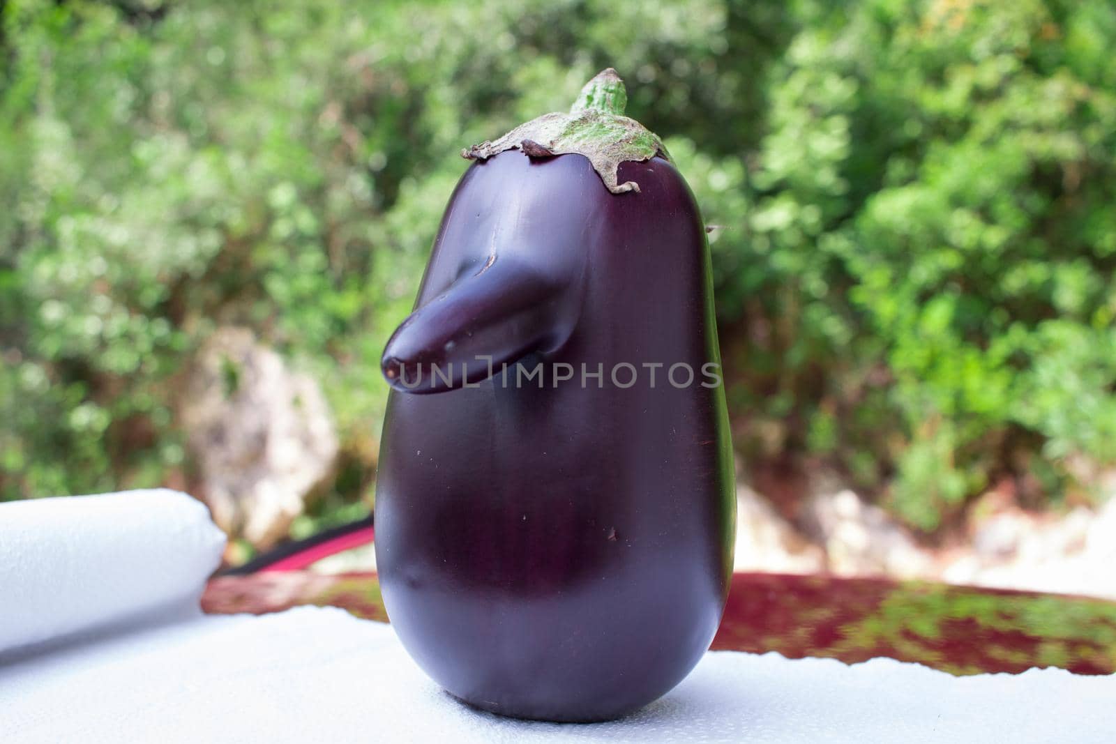 Funny purple fresh natural organic vegetable eggplant with long nose