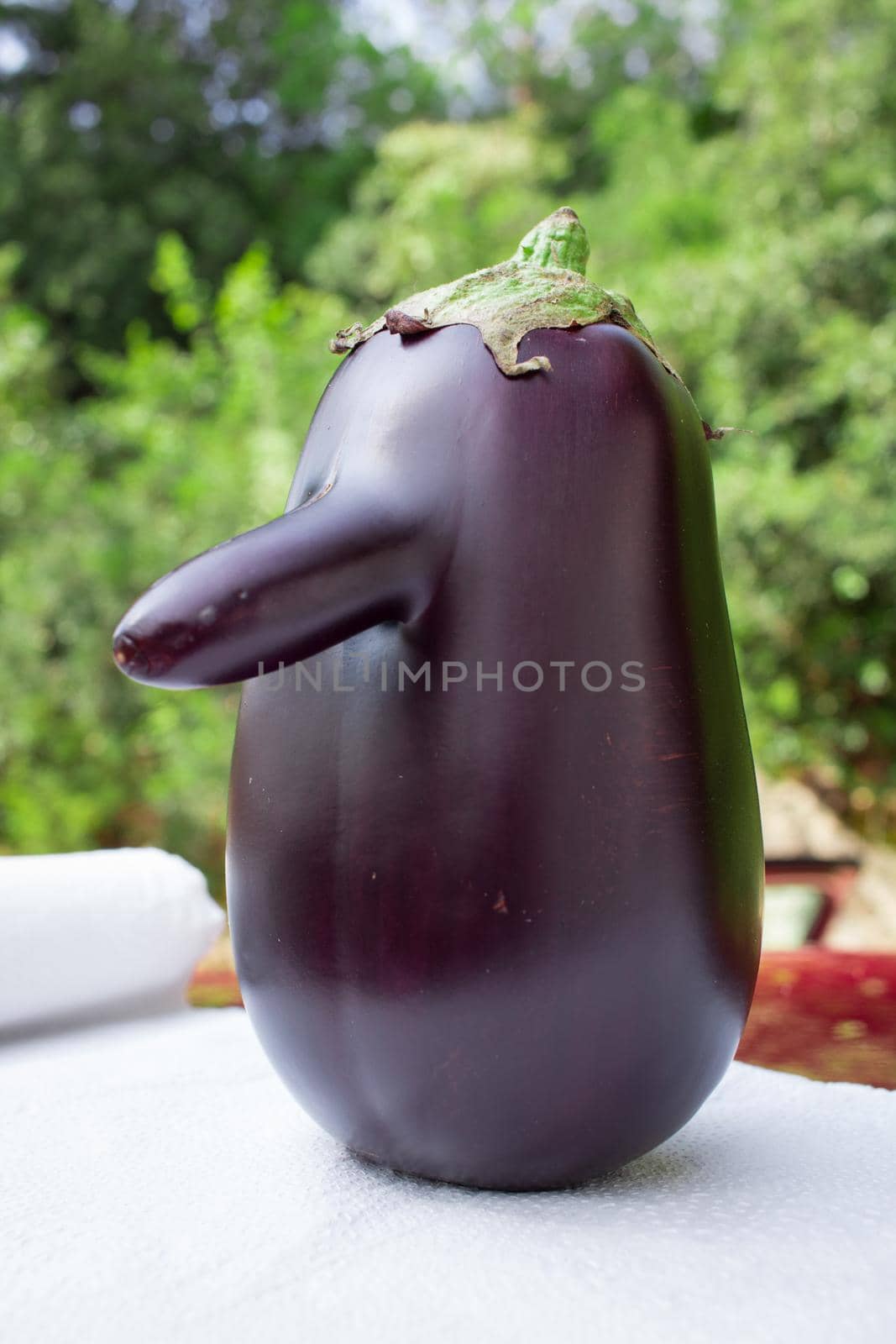 Funny purple fresh organic vegetable eggplant with long nose by VeraVerano